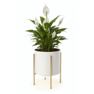 LumiLily™ Air Purifier Planter