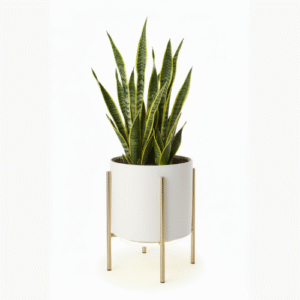 NightWave™ Snake Plant Light Planter