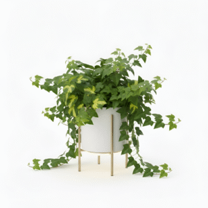 IvyGlow™ Purifying Planter